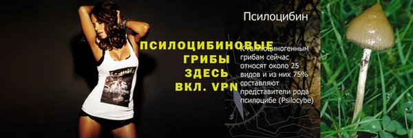 2c-b Вяземский