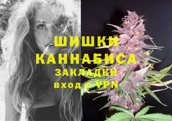 стафф Вязьма