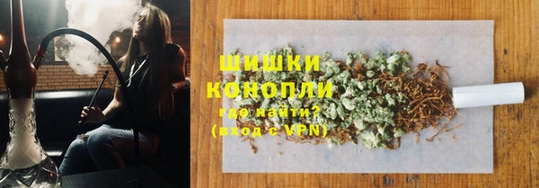 стафф Вязьма