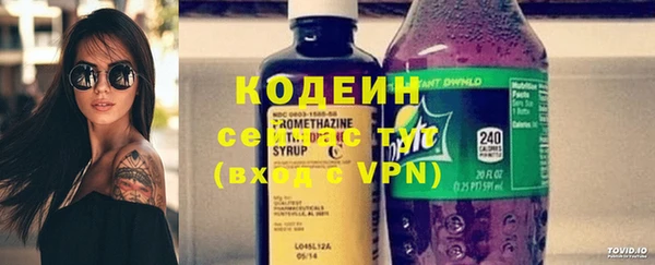 2c-b Вяземский
