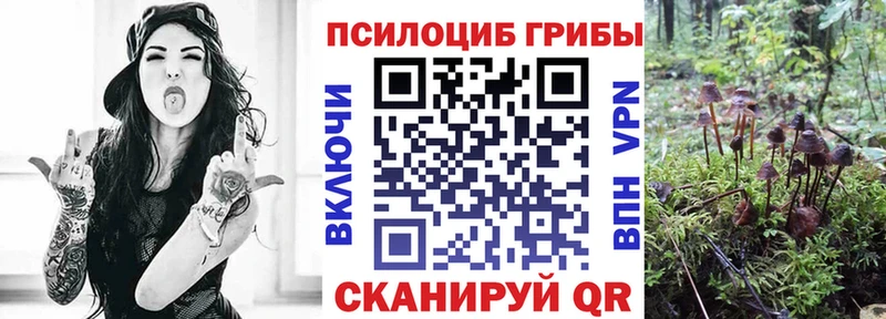 Купить где  Кубинка  Галлюциногенные грибы прущие грибы 